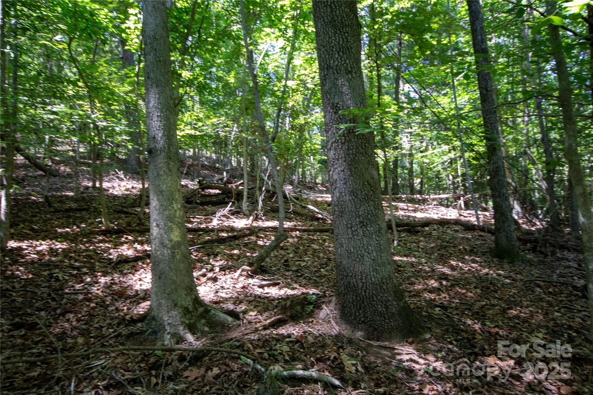 LOT 113 Stoney Brook Drive 113