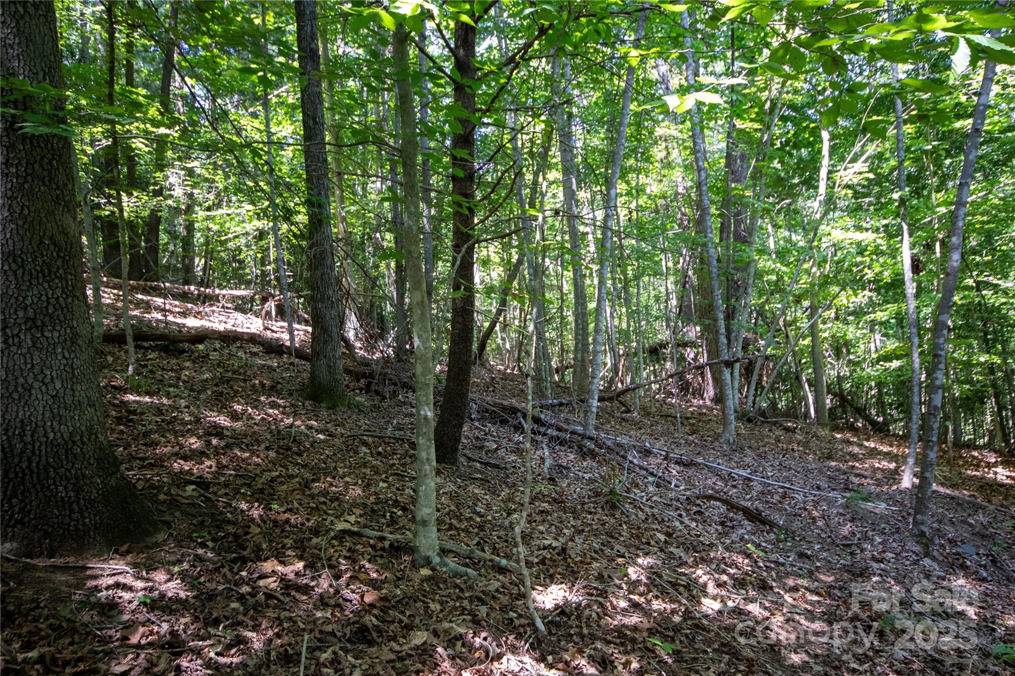 LOT 113 Stoney Brook Drive 113