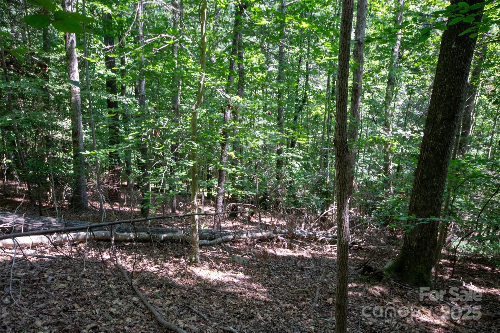 LOT 113 Stoney Brook Drive 113