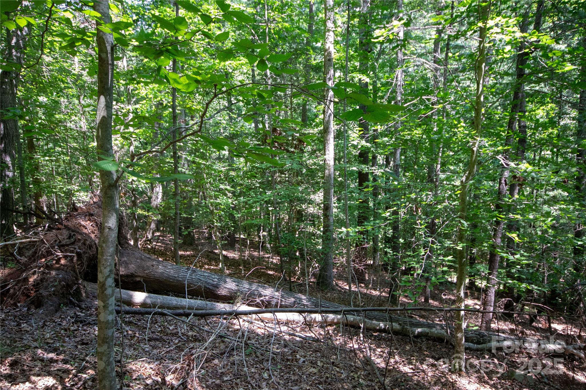LOT 113 Stoney Brook Drive 113
