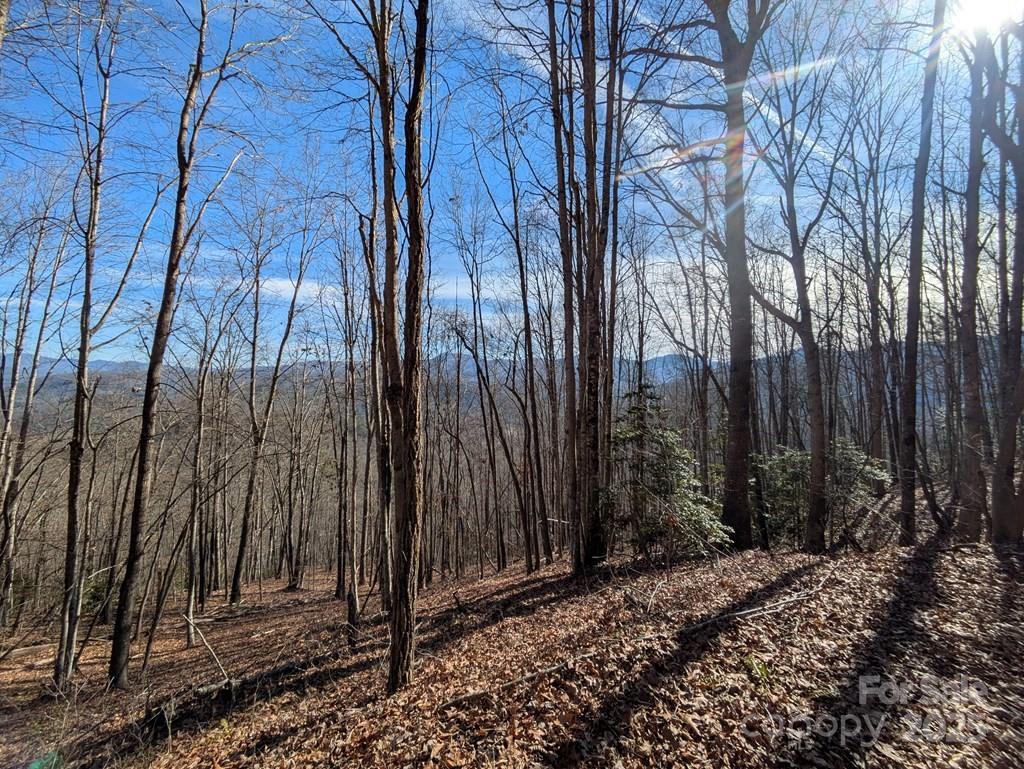 00 Sutton Branch Road