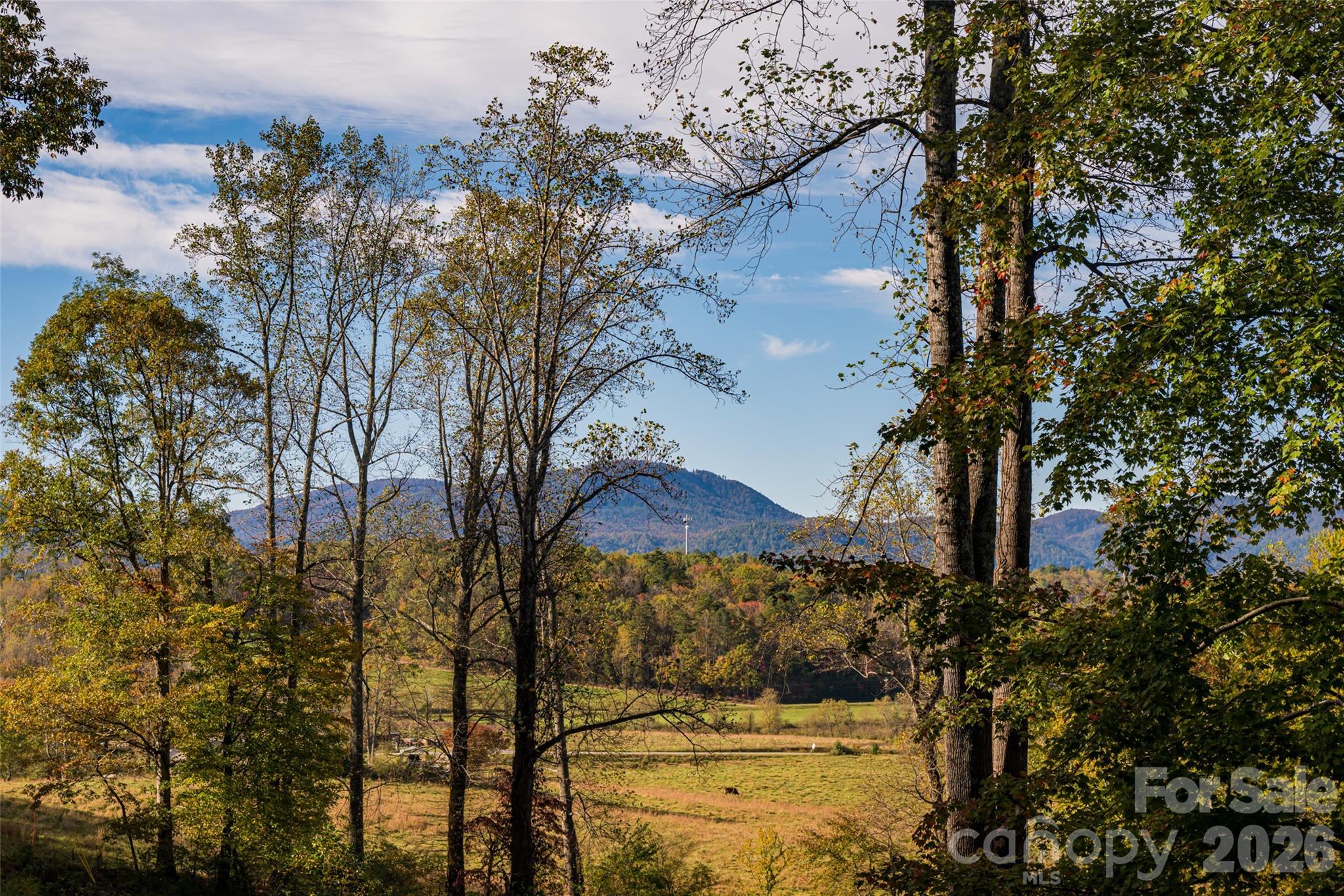 Jacks Mountain Preserve - Residential