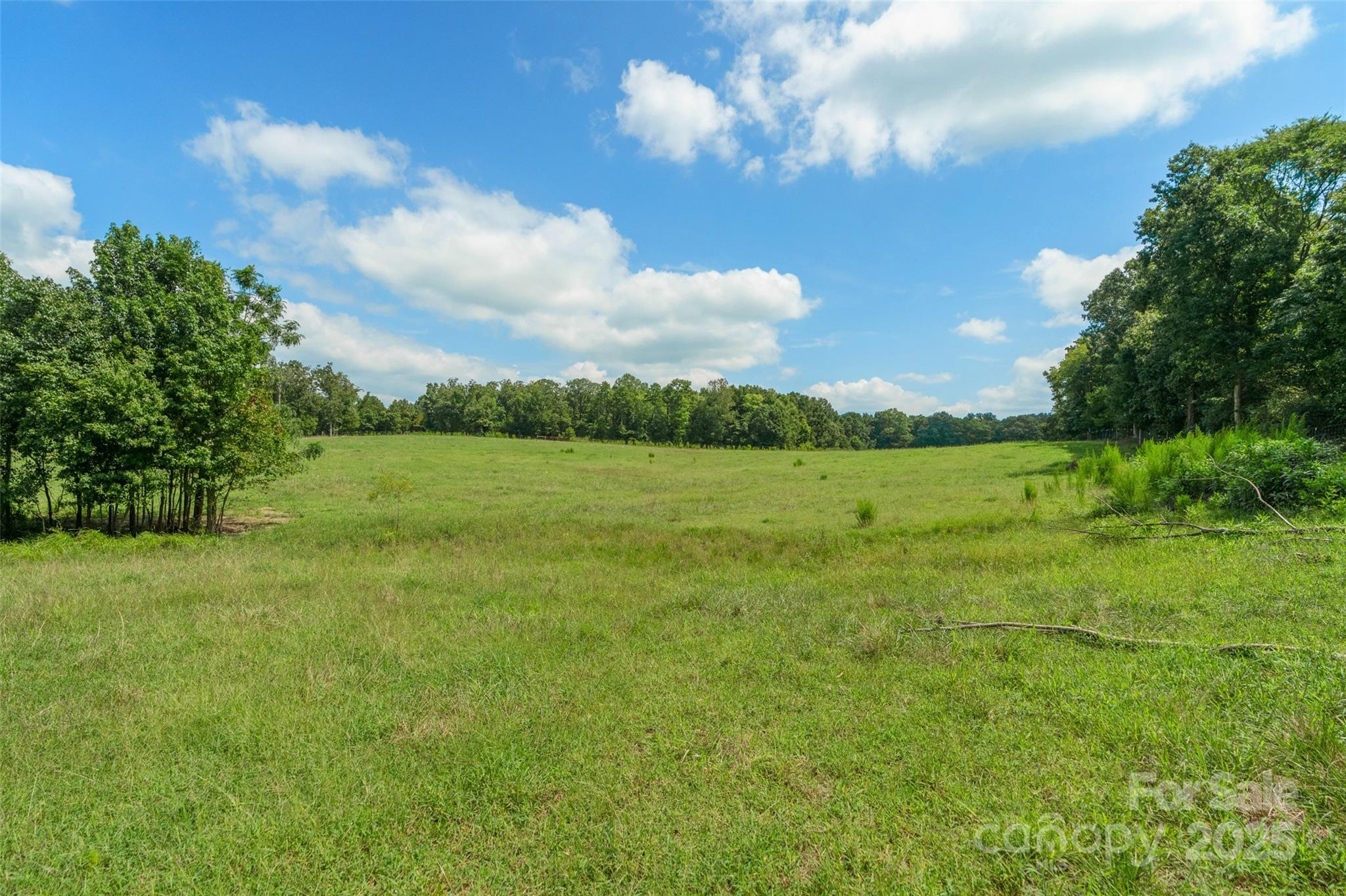 000 Old Goldmine Road 8