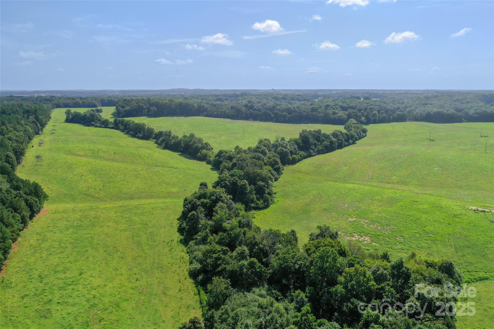 000 Old Goldmine Road 8