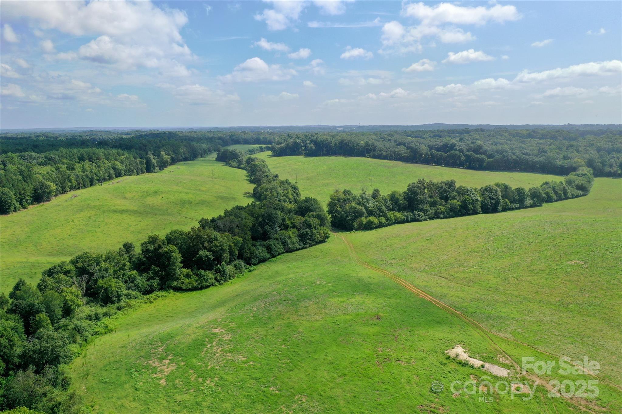000 Old Goldmine Road 8