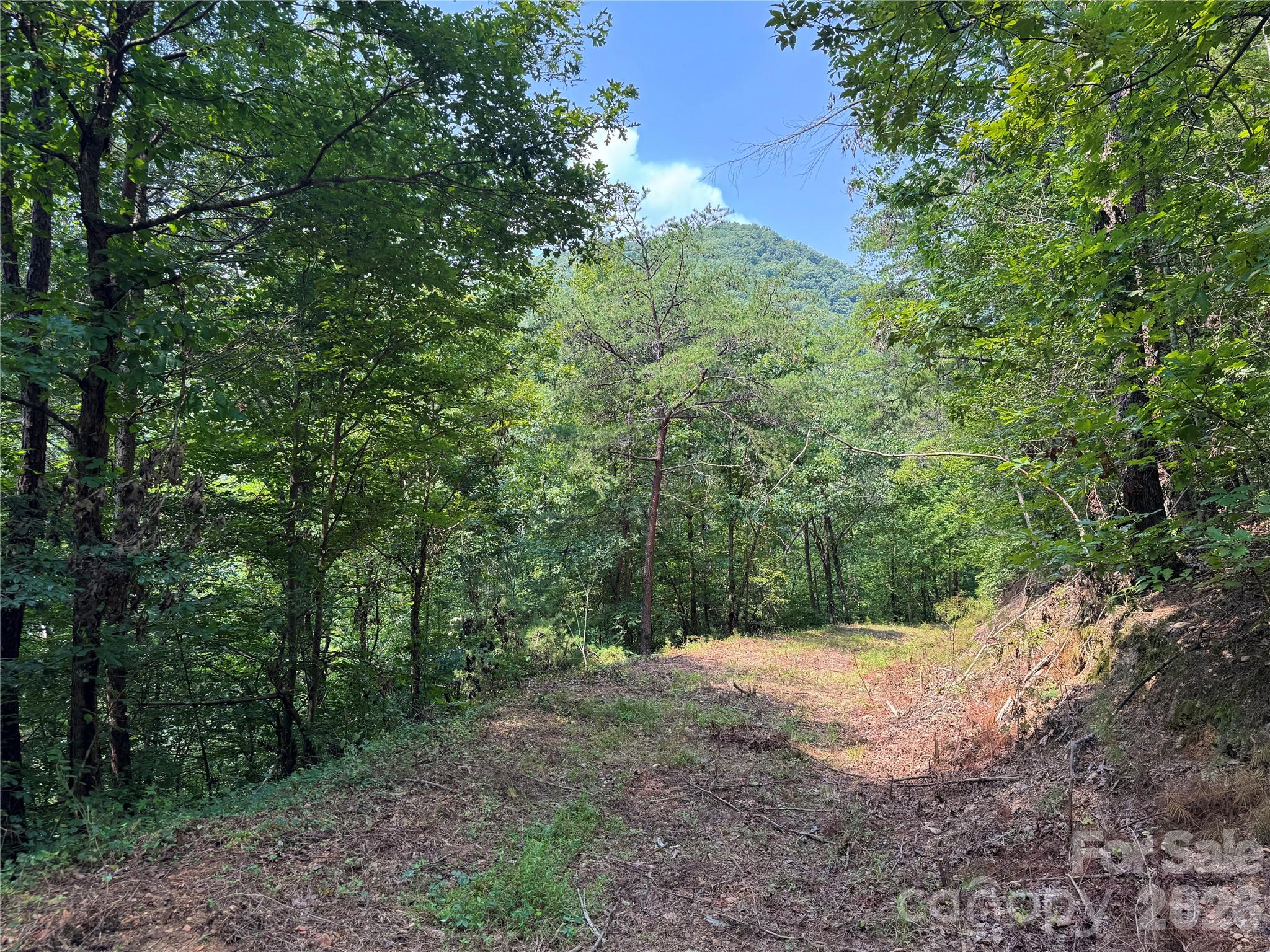 6080 River Road