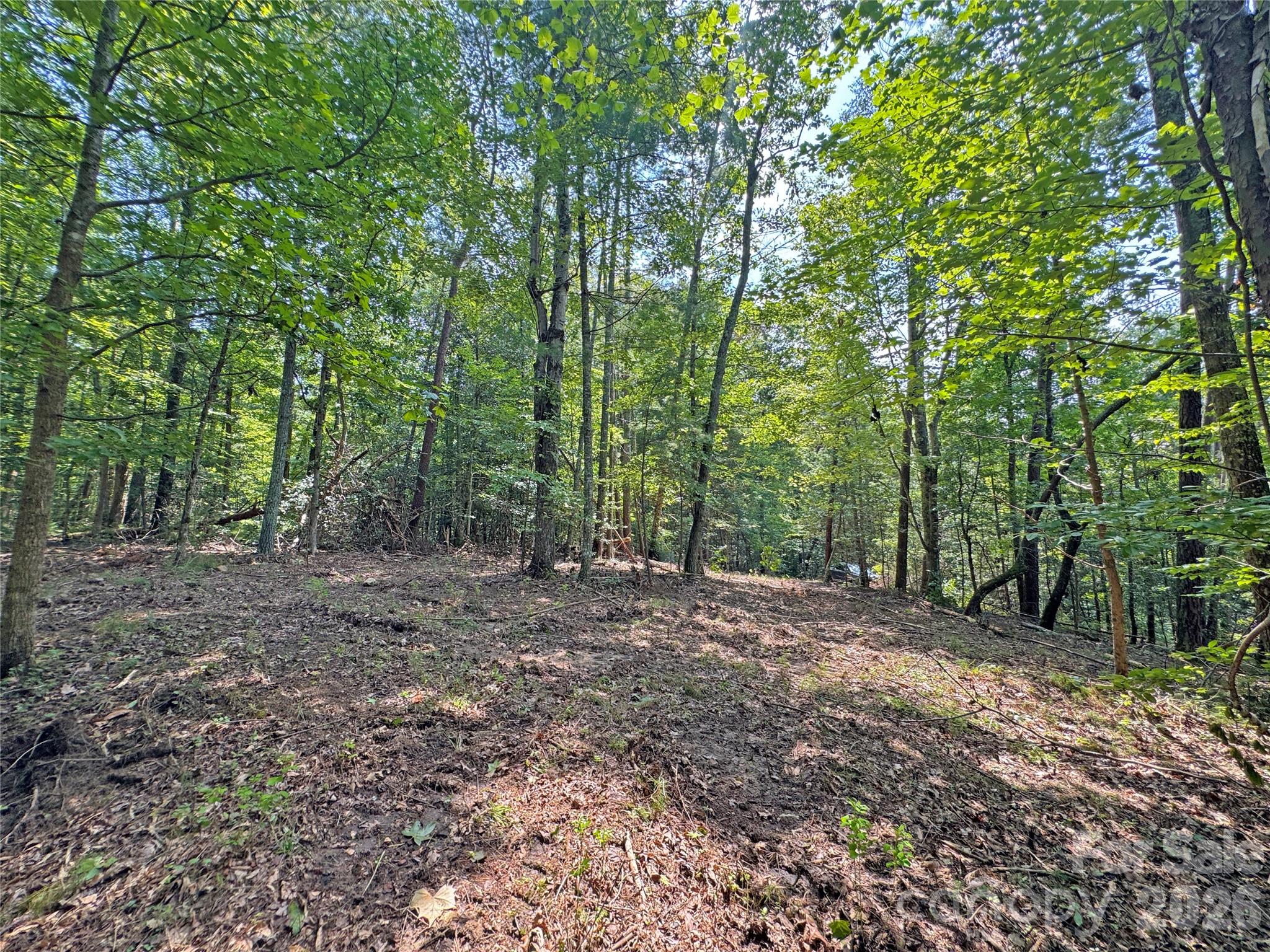 6080 River Road