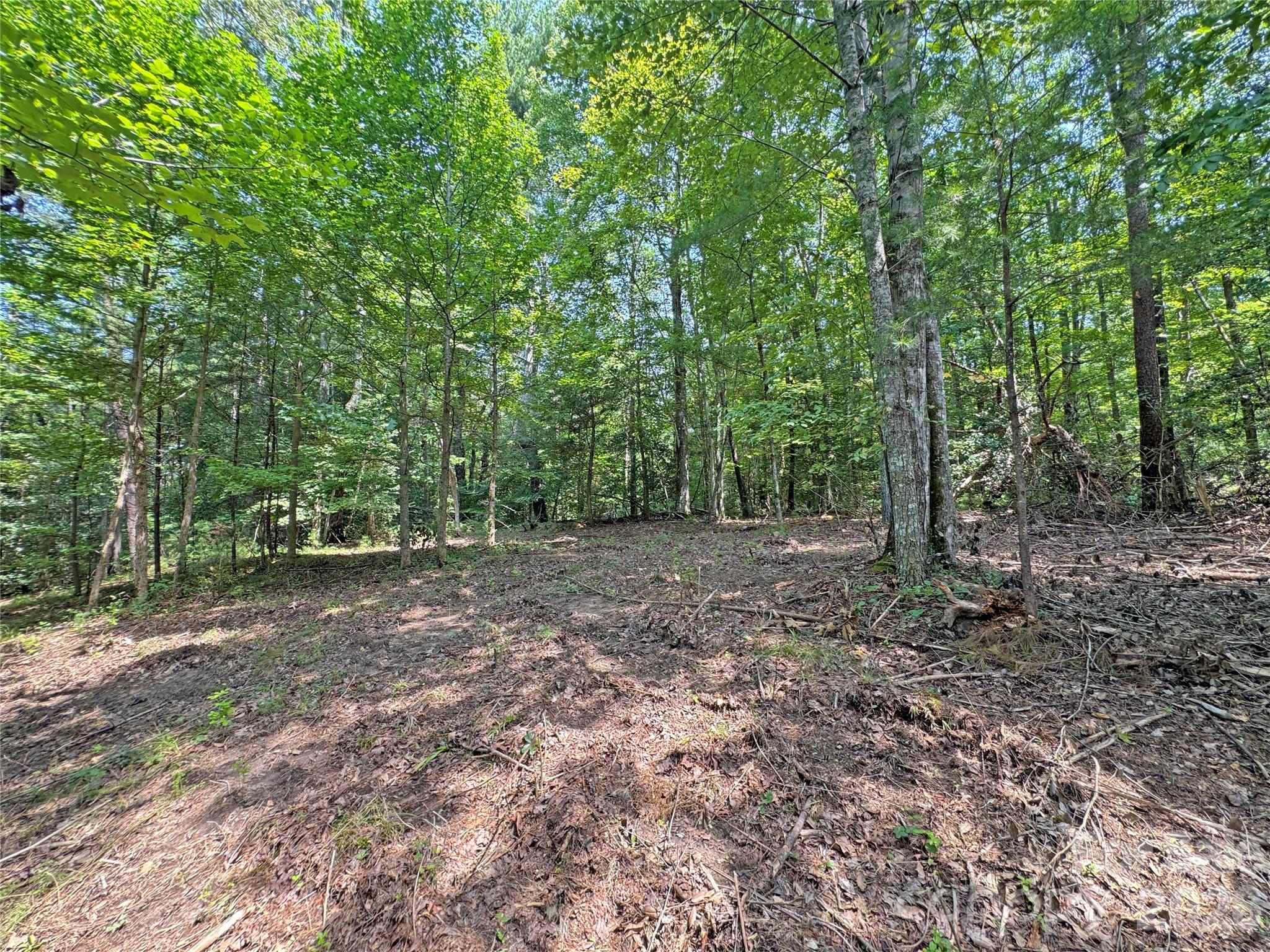 6080 River Road