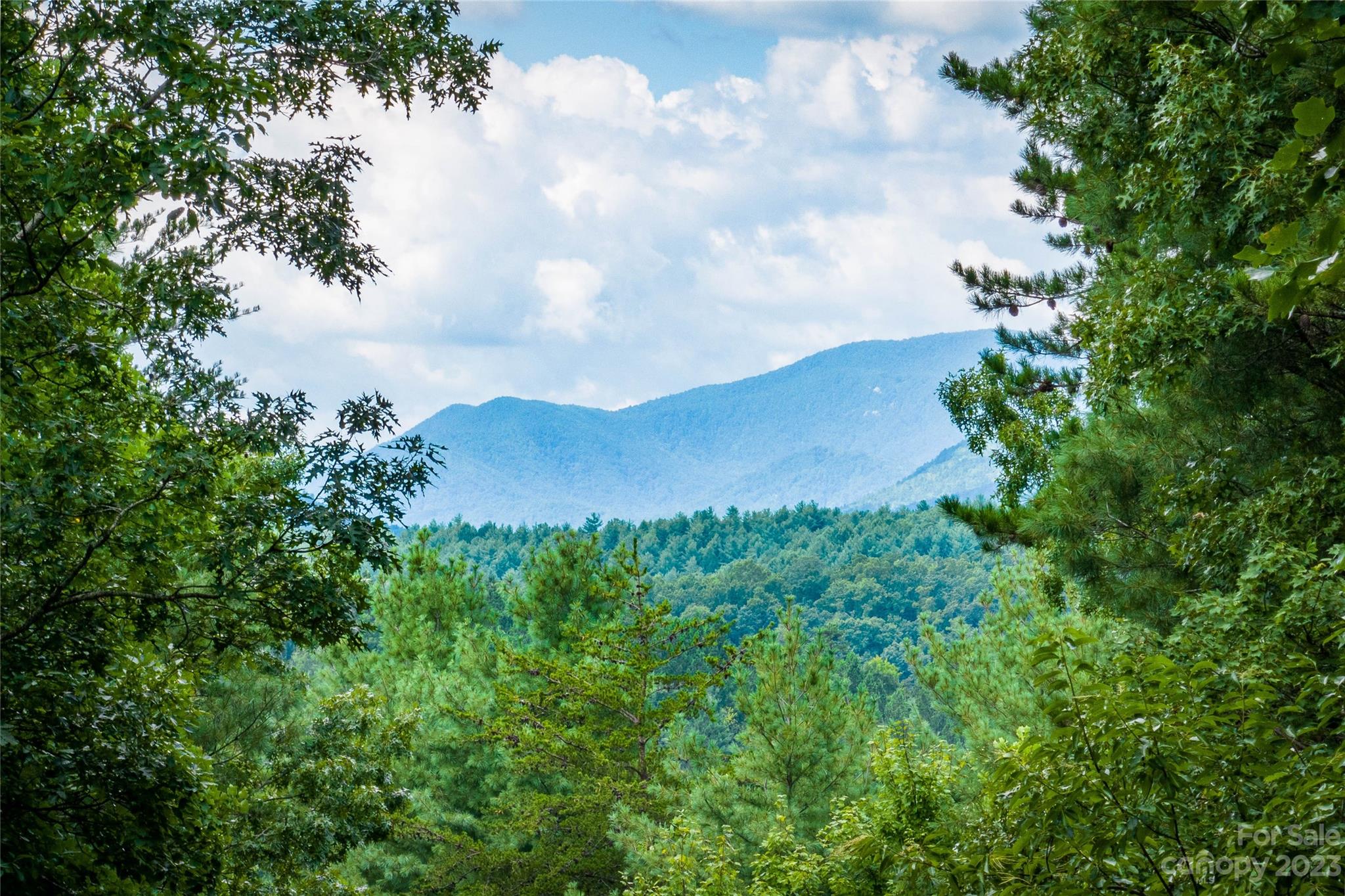 Pisgah Preserve - Land