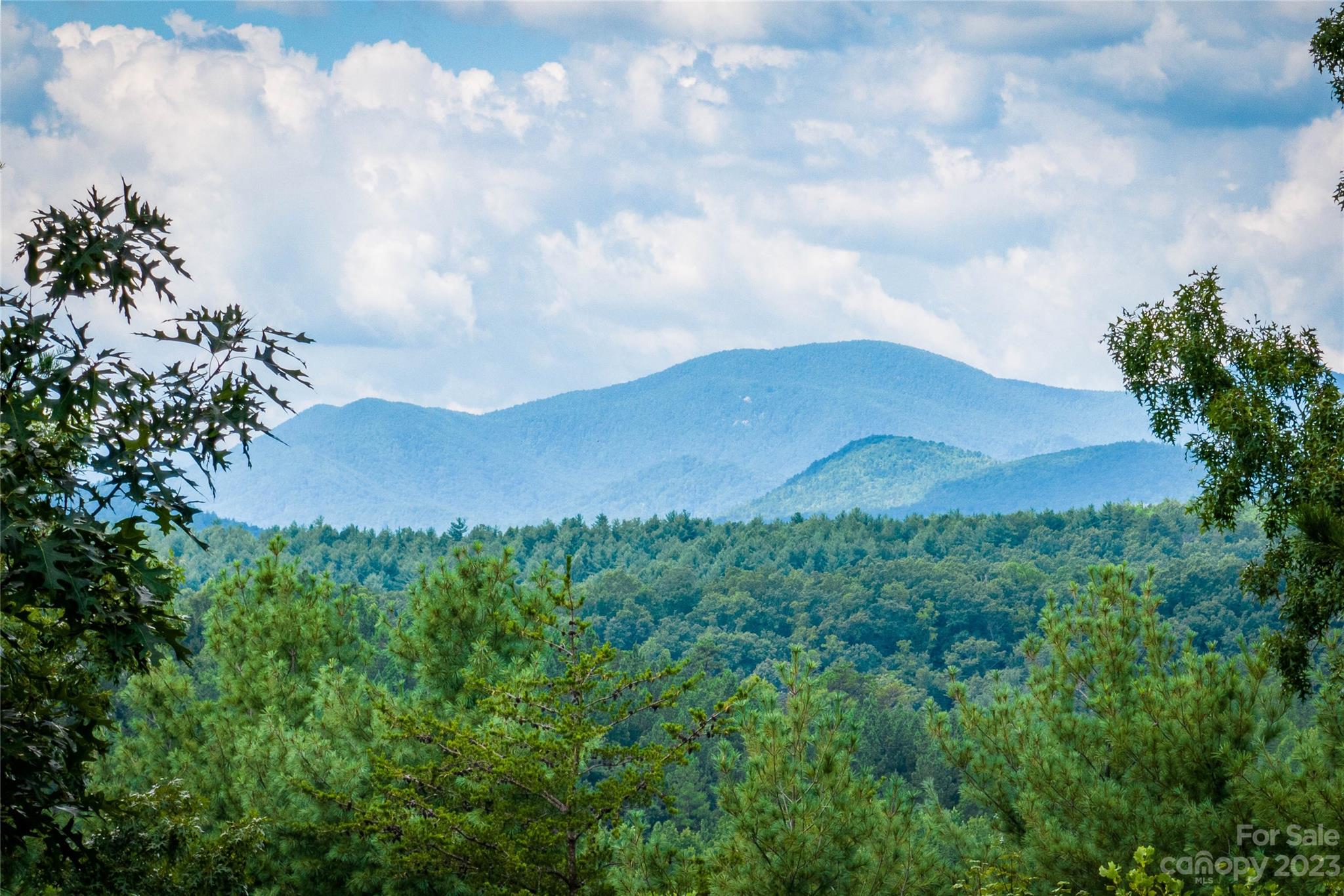 Pisgah Preserve - Land