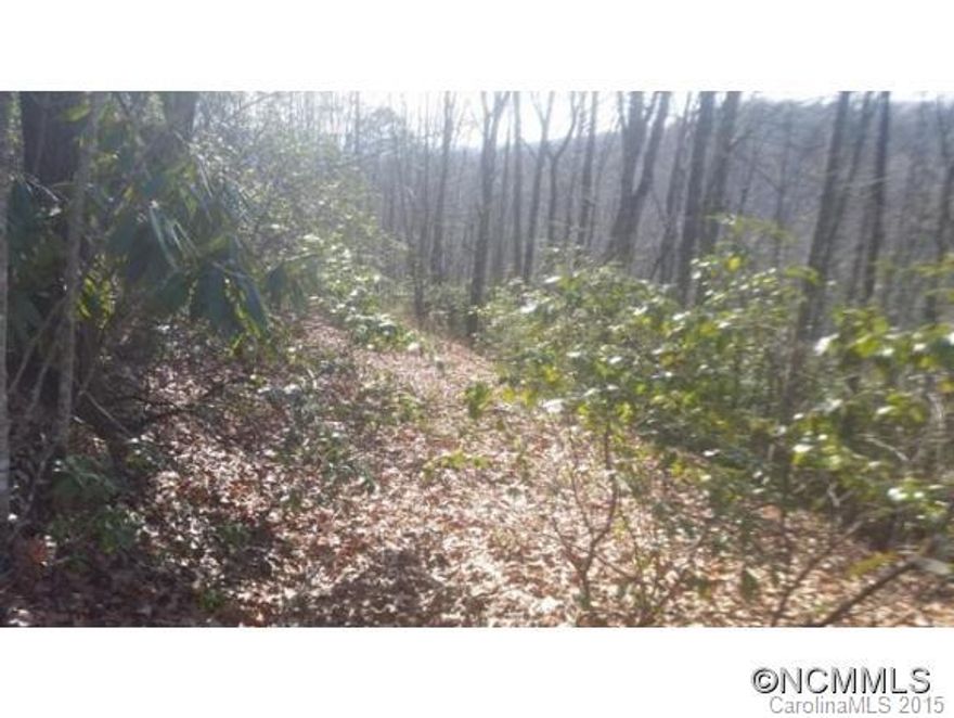 Beautiful serene piece of property at the end of the road with hardwoods, views and rough cut road to building site. This would be a great place for your mountain retreat or everyday living in your dream home. Very private and within just a few minutes to downtown Brevard.