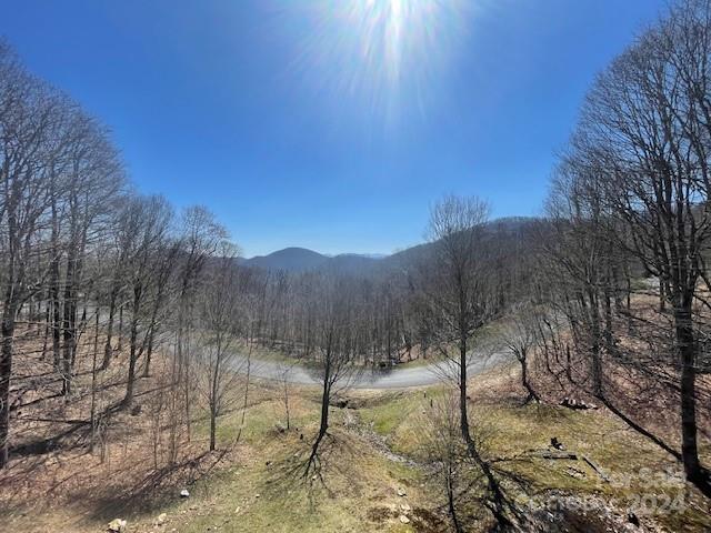 Wolf Laurel - Residential