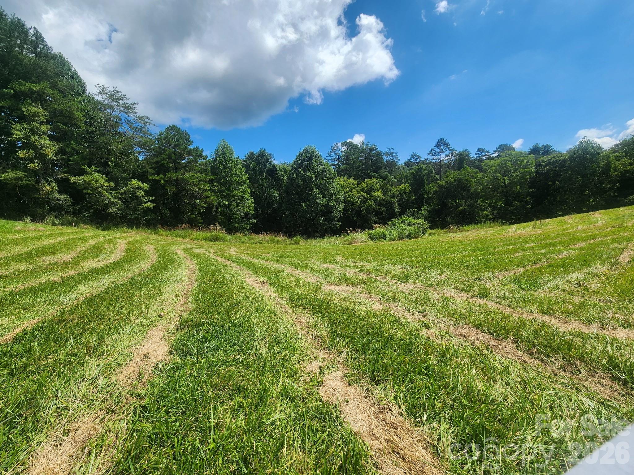 22 Setter Lane 3