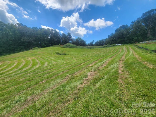 22 STAR RD, MARSHALL, NC 28753 - Image b320753a3d75e9da7c490fcbf93135bb/4294562913