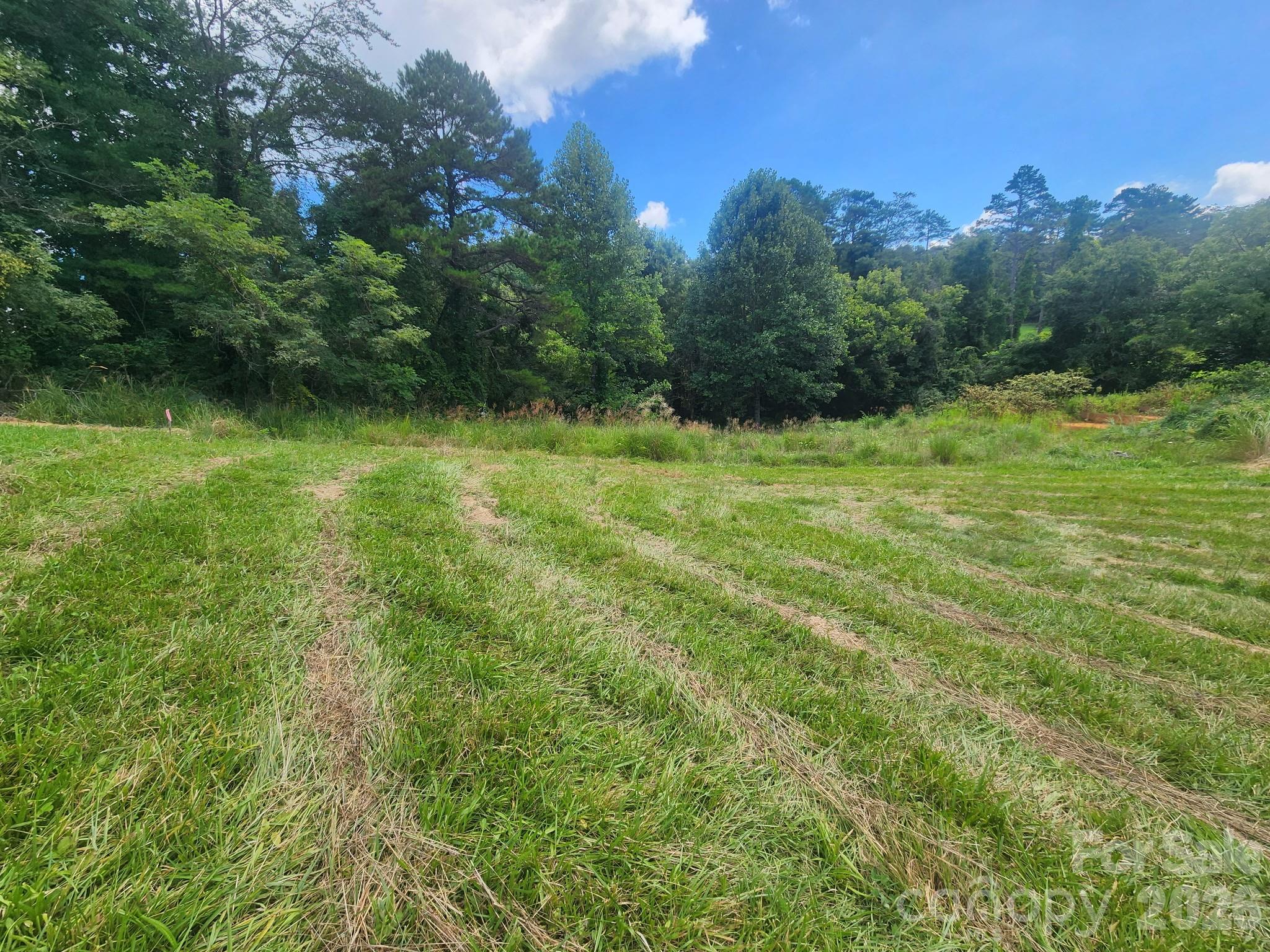 22 Setter Lane 3