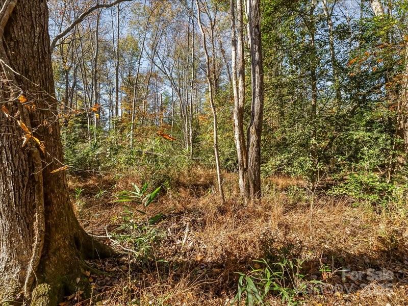 Winding Creek - Land