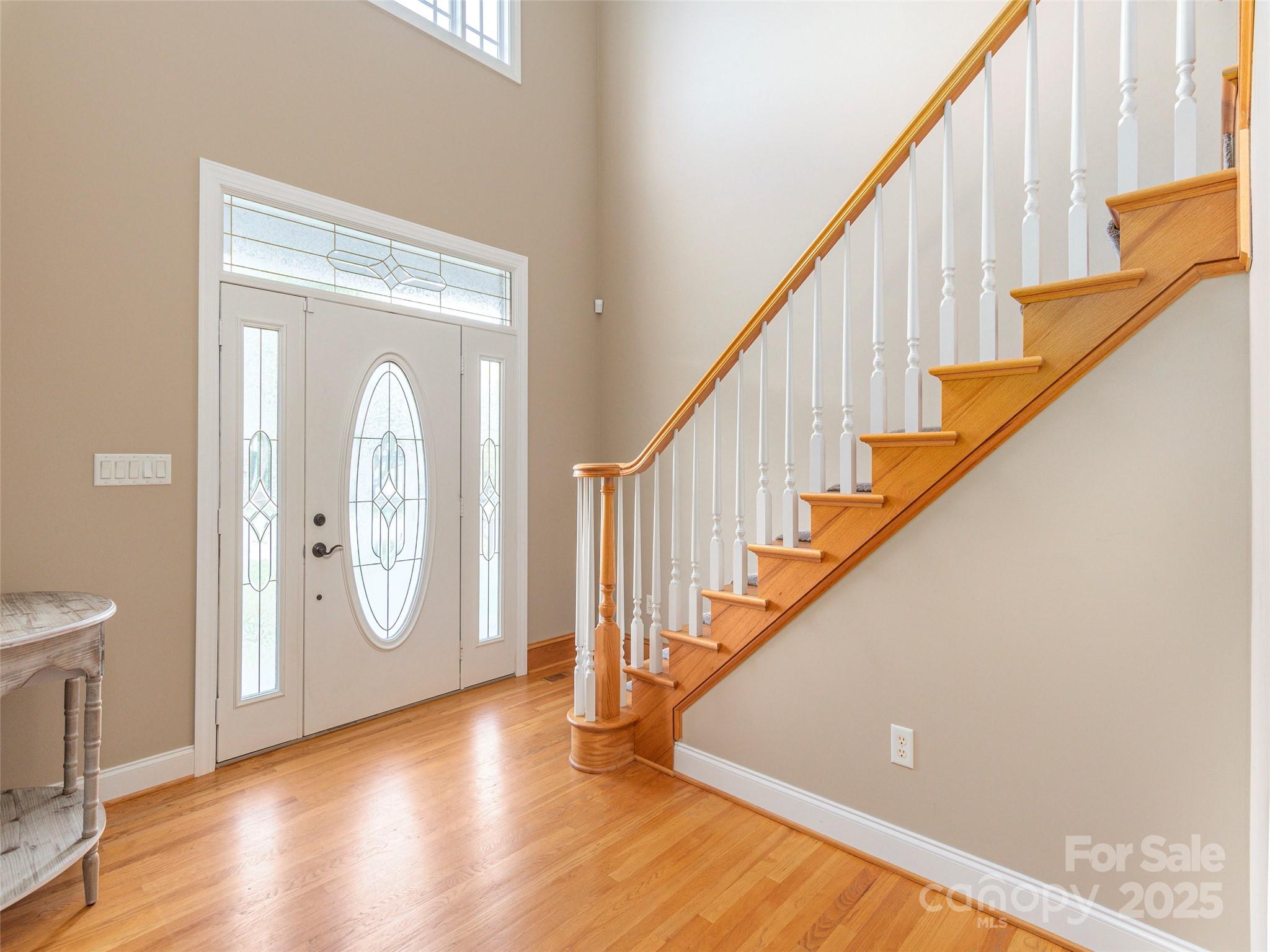 209 Velvet Lane