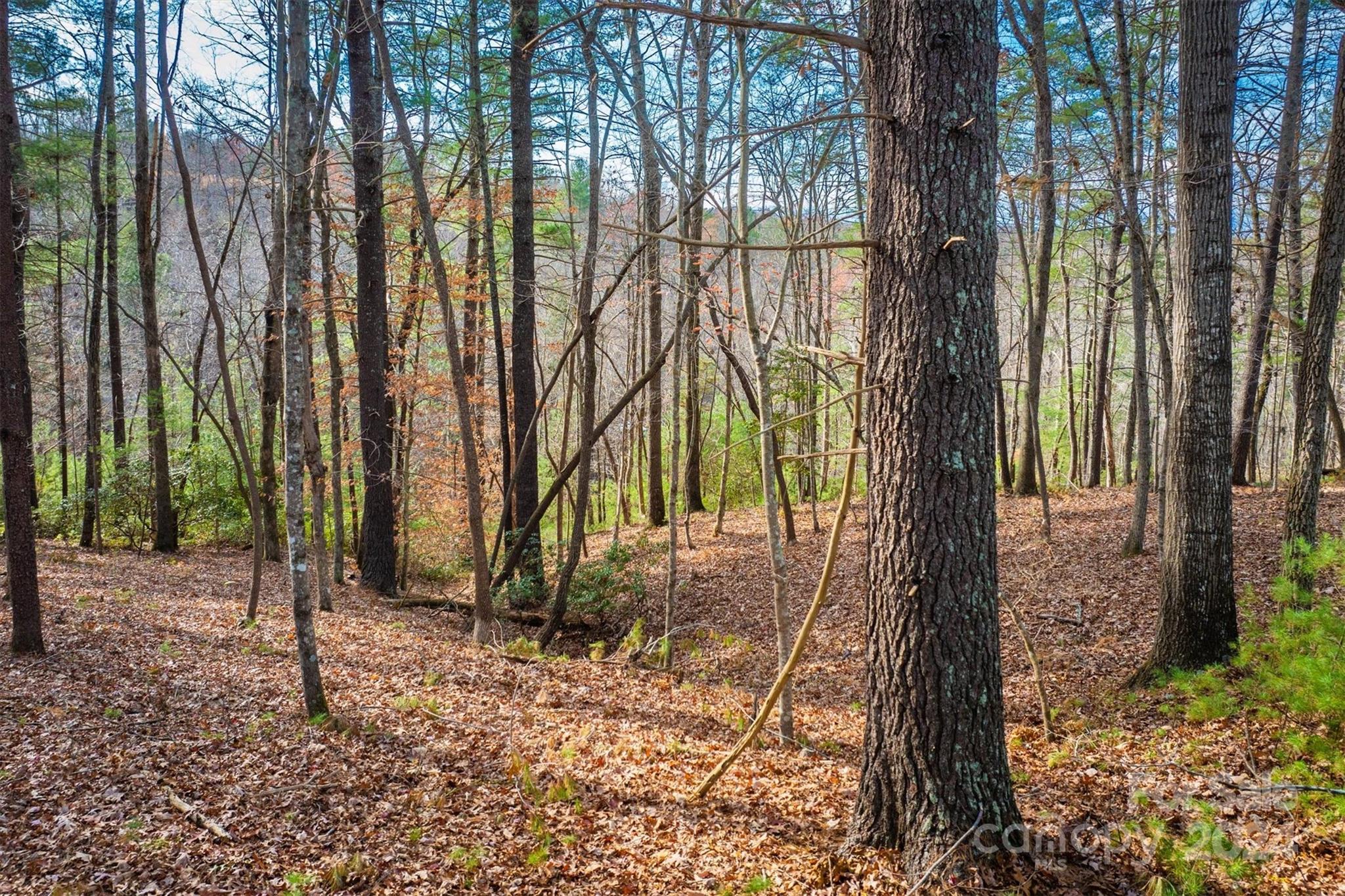 133 James Bob Stafford Drive