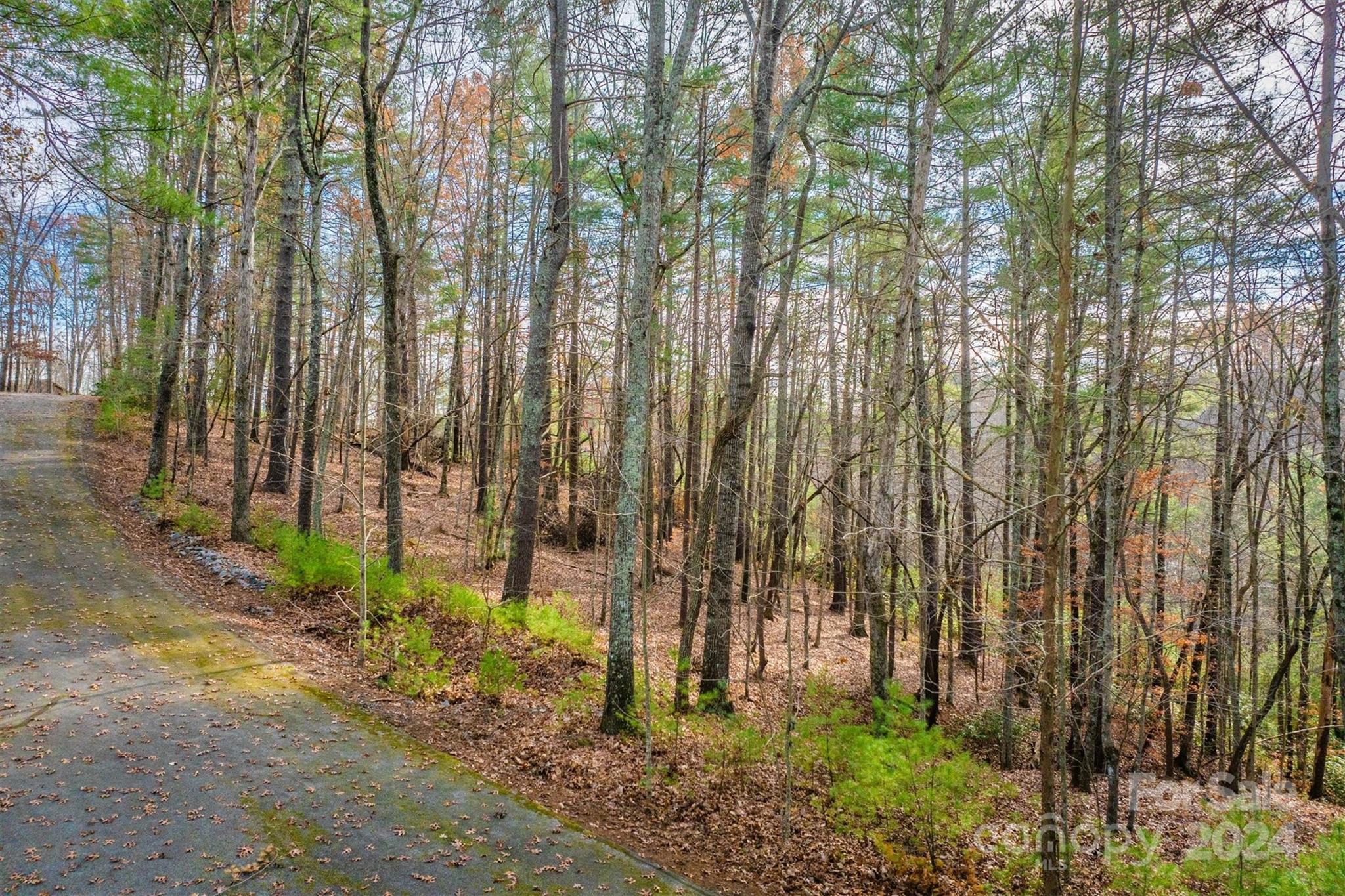 133 James Bob Stafford Drive