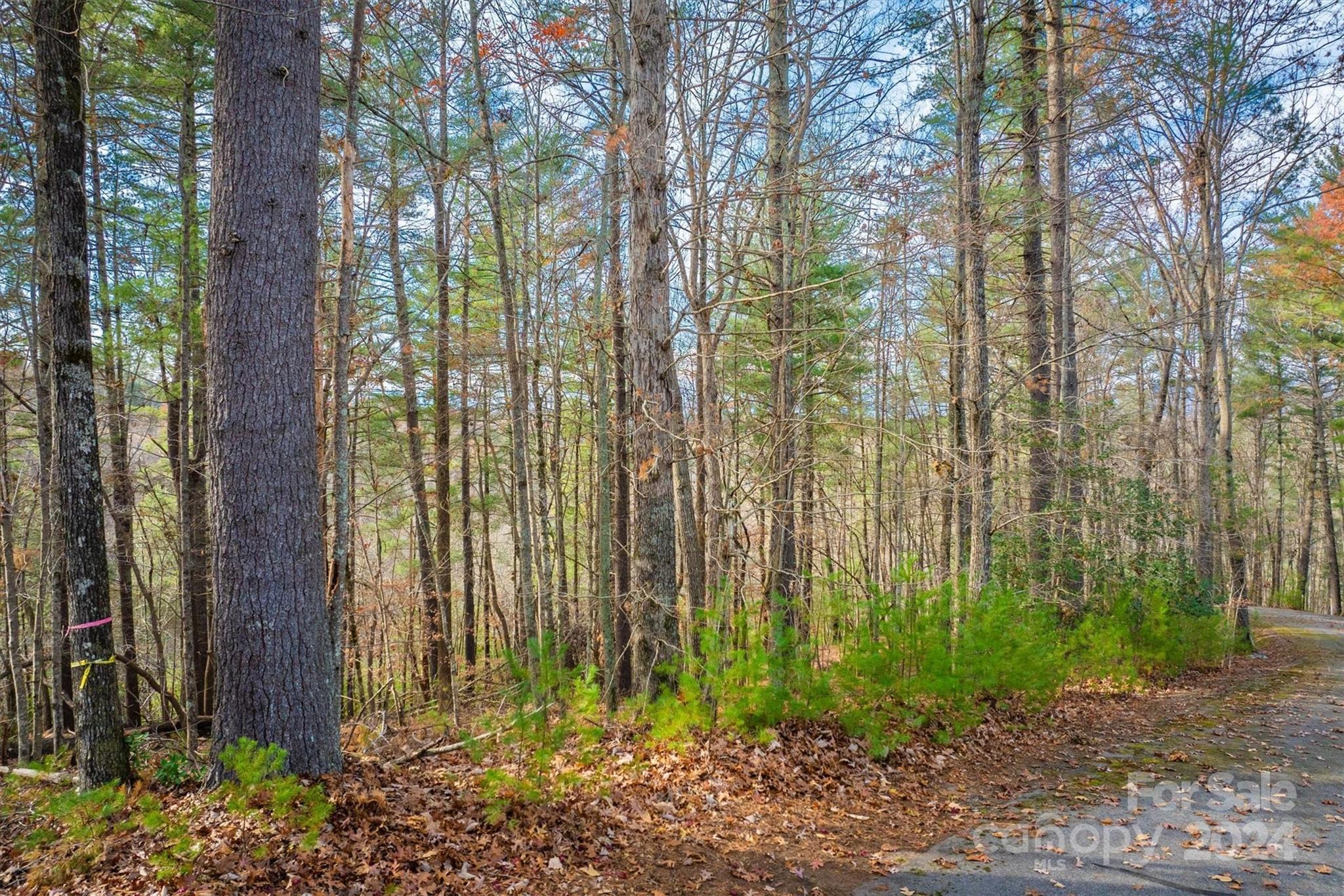 133 James Bob Stafford Drive