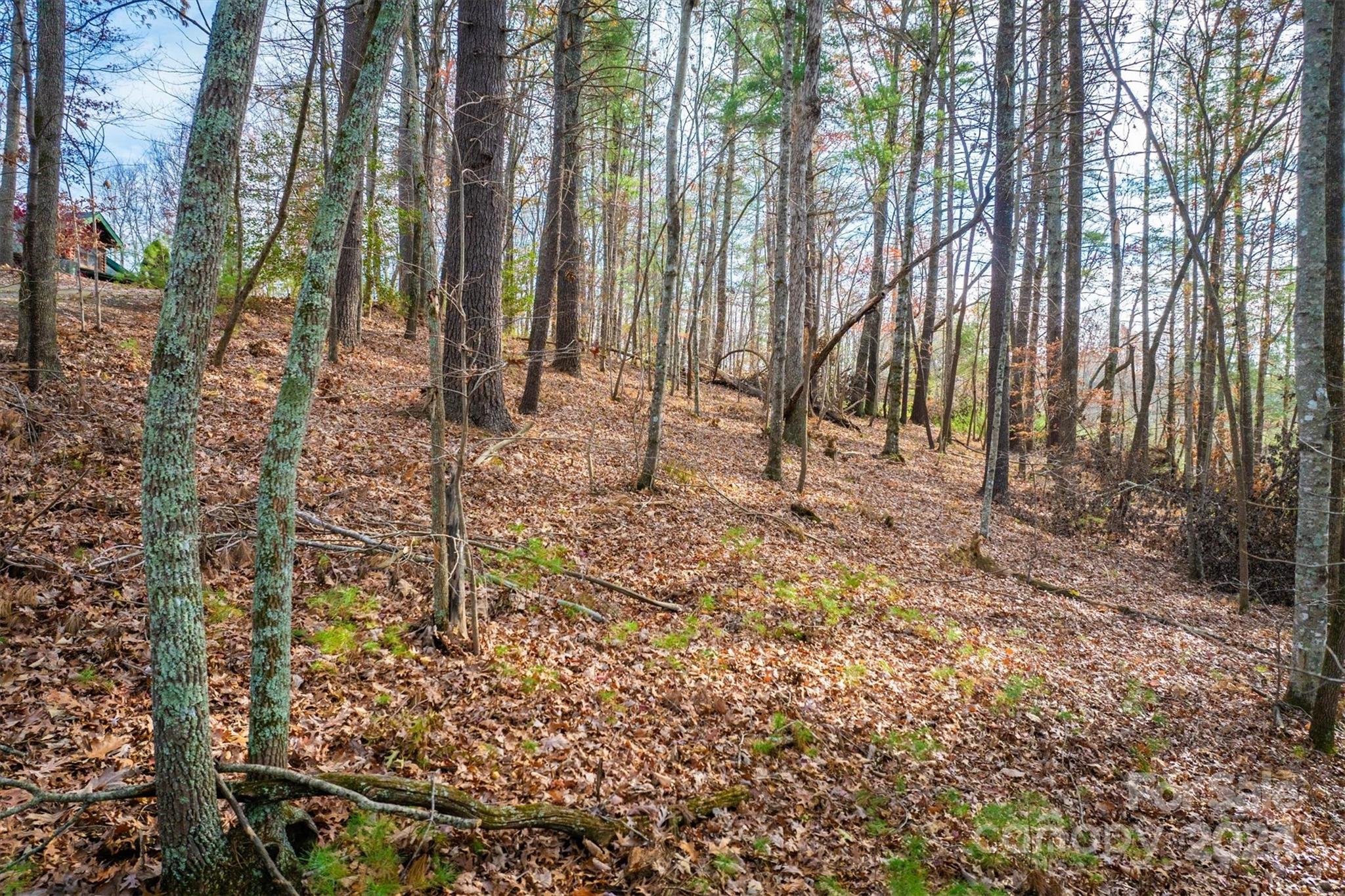 133 James Bob Stafford Drive