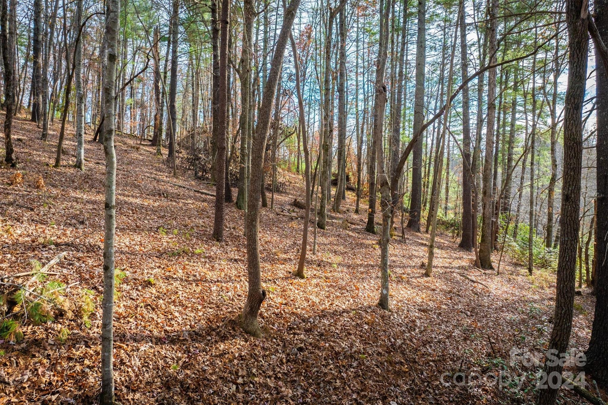 The Meadows at Lake James Station - Land