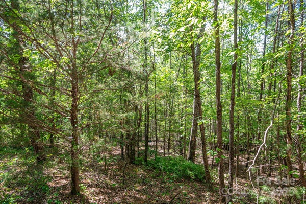 LOT #14 MEADOW CROSSING DRIVE, RUTHERFORDTON, NC 28139 - Image b3352a4c71d7aed6c0a49c52f3bf8a8a/1190099167