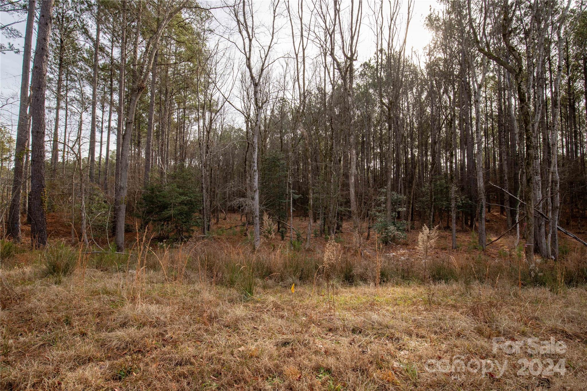 Riverchase Estates - Land