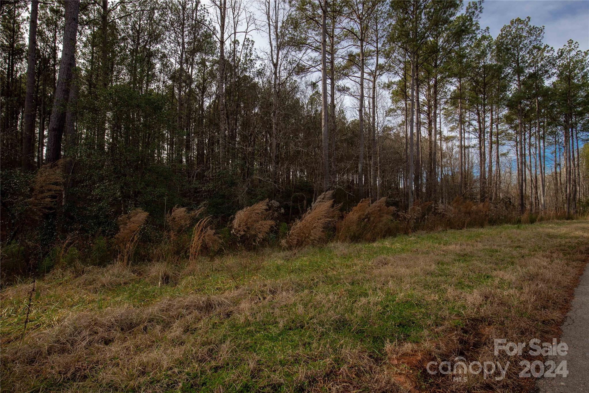 Riverchase Estates - Land