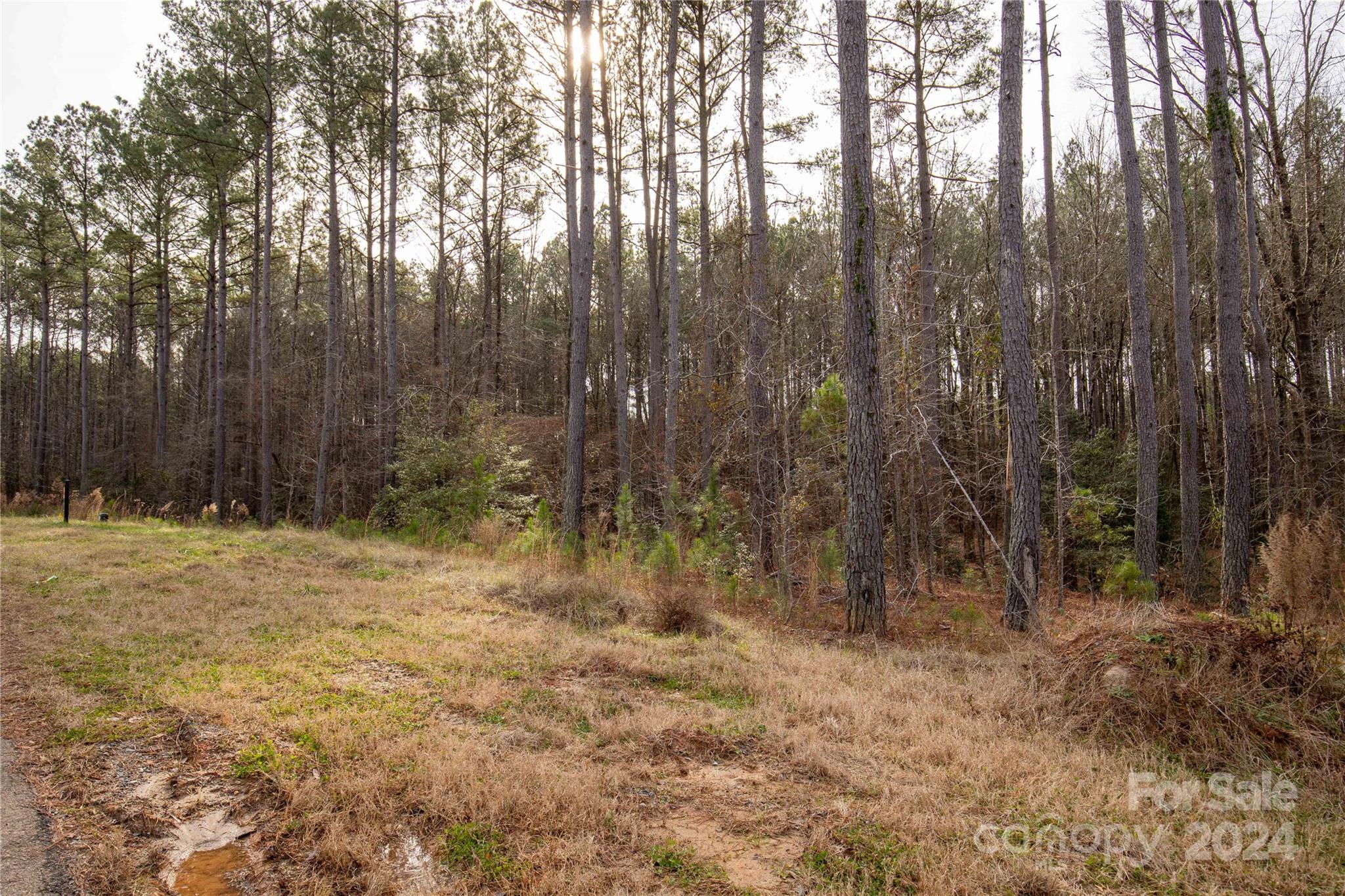 Riverchase Estates - Land