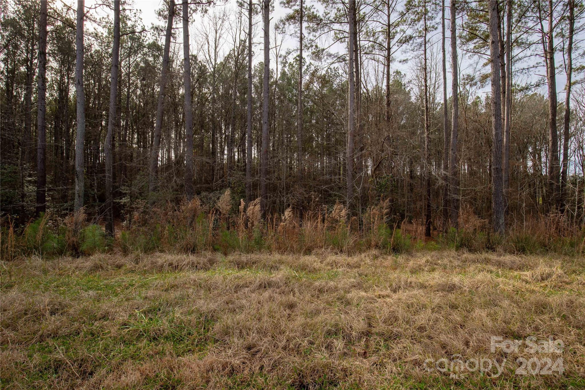 Riverchase Estates - Land