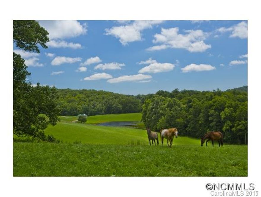 140 +/- Acres in history,roughly 1/2 in fields, pastures & meadows, 1/2 in beautiful under-brushed hardwood forests.Timber stands 150 years old.Own your own mountaintop Rich Knob with stunning 360 views of several iconic mountain ranges including;Table Rock,Hawks Bill, Grandfather Mountain and the blacks including Mount Mitchell.Cool elevations 3500+,5 ponds,2 creeks ,springs,2 barns,small log cabin, mountaintop water system for gravity/F587477A