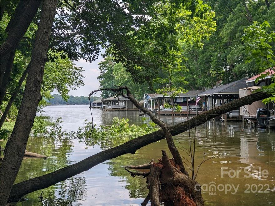 Wonderful, large building lot. Gently sloped and perfect for a basement. Pretty cove with a nice view out the channel. Located in desirable Eagle Pointe, a premier gated community on Lake Tillery. City sewer & water! Duke Energy Shoreline Management has this property's shoreline designated as Integrated Use.