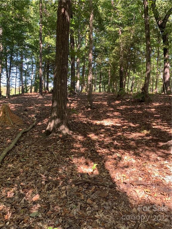 Lot 9R Eagle Pointe Drive