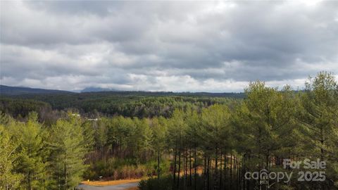 26 Peninsula Reserve Road 26 Nebo NC 28761