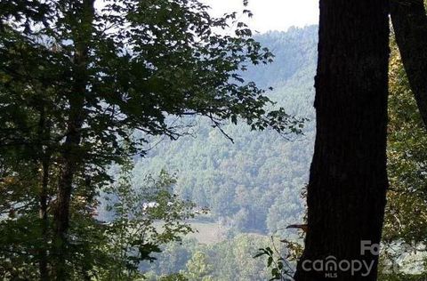 100 Black Bear Ridge Trail Zirconia NC 28790