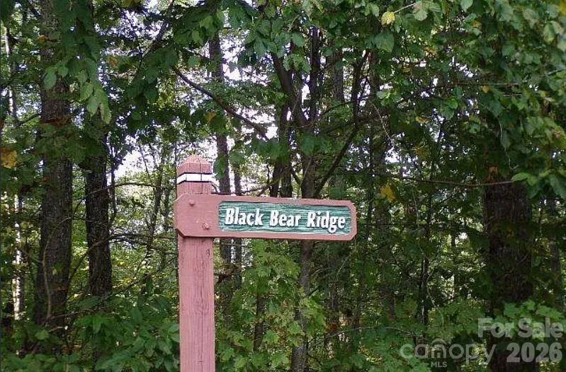 100 Black Bear Ridge Trail