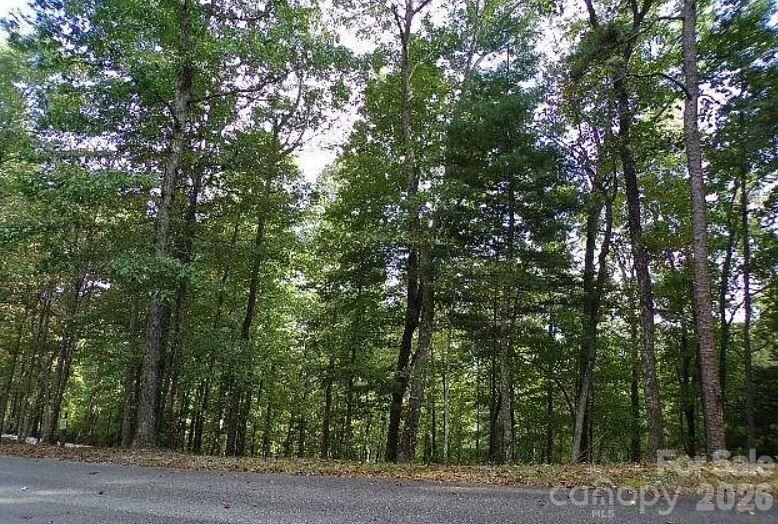 100 Black Bear Ridge Trail