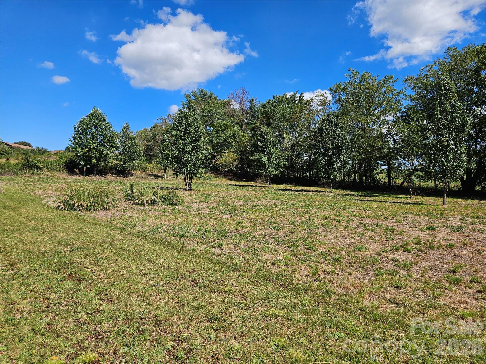 TBD Patterson Estate Road 6