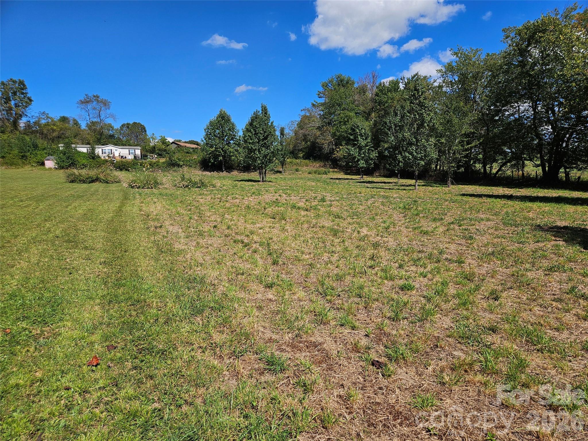 TBD Patterson Estate Road 6