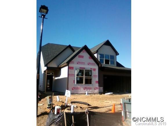 Reems Creek - Residential