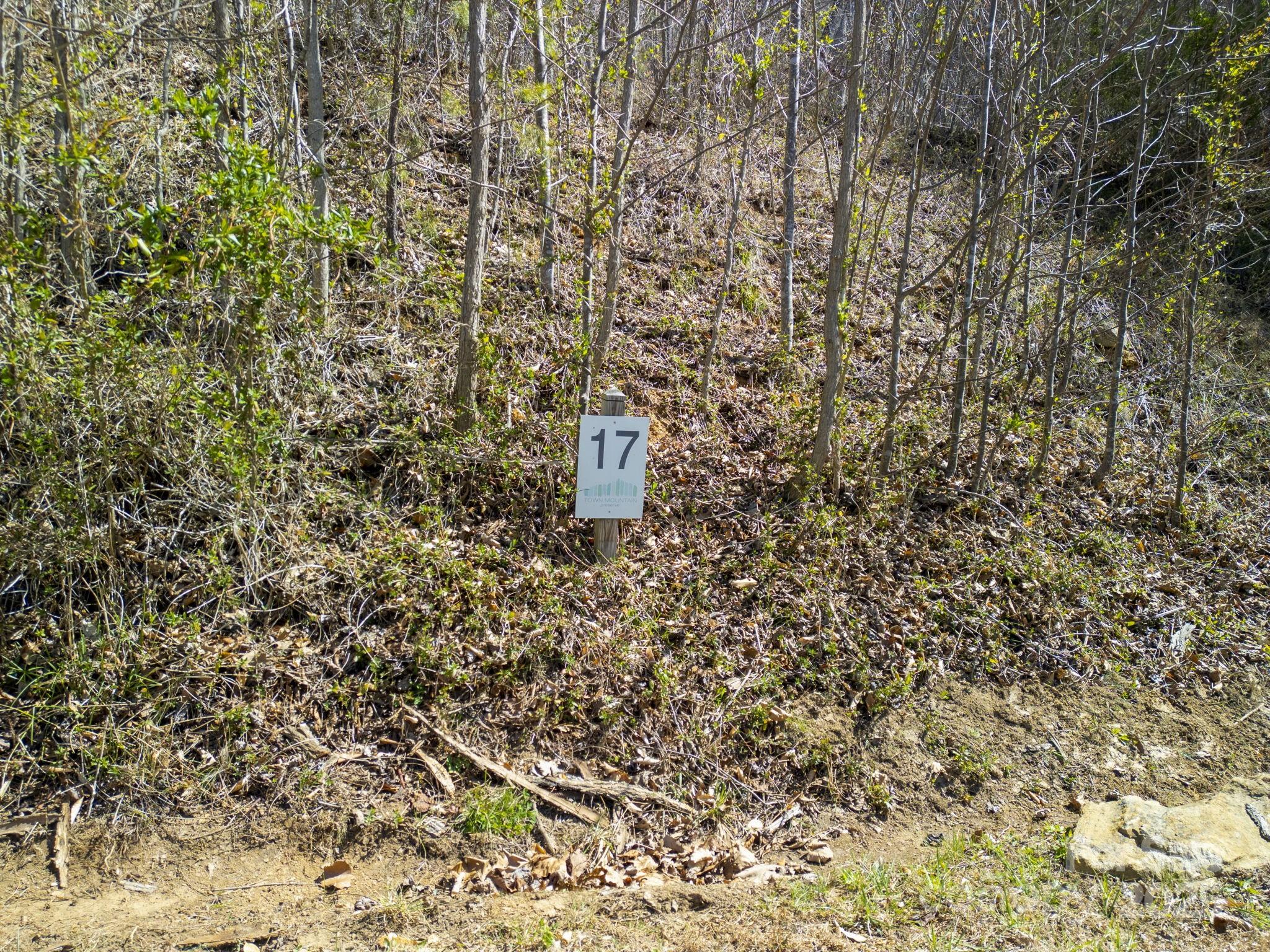 Town Mountain Preserve - Land