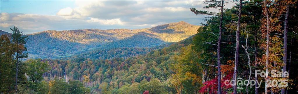 Town Mountain Preserve - Land