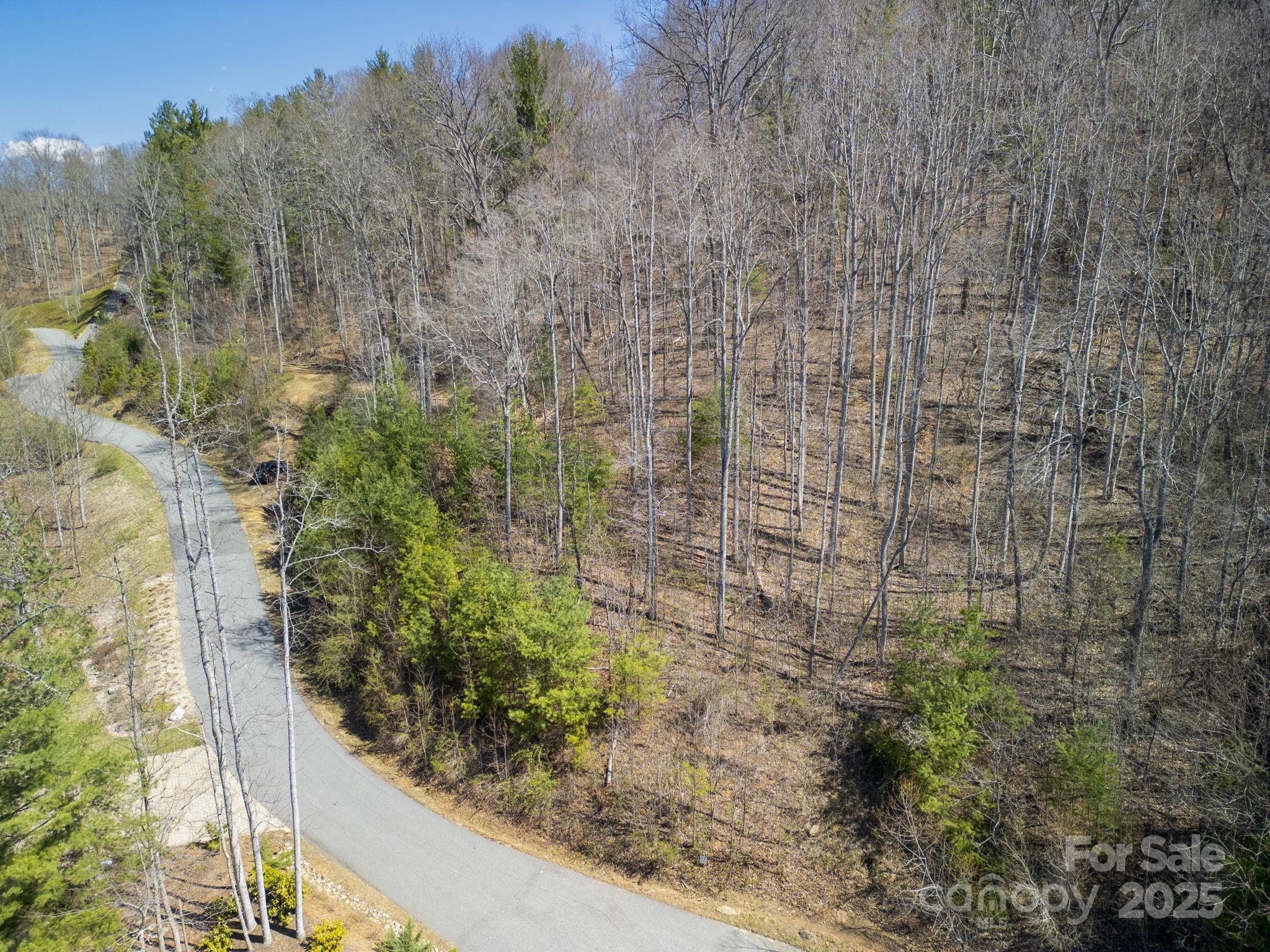 Town Mountain Preserve - Land