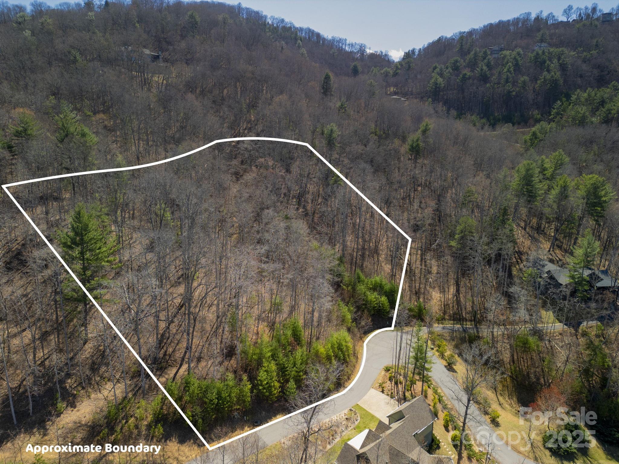 Town Mountain Preserve - Land