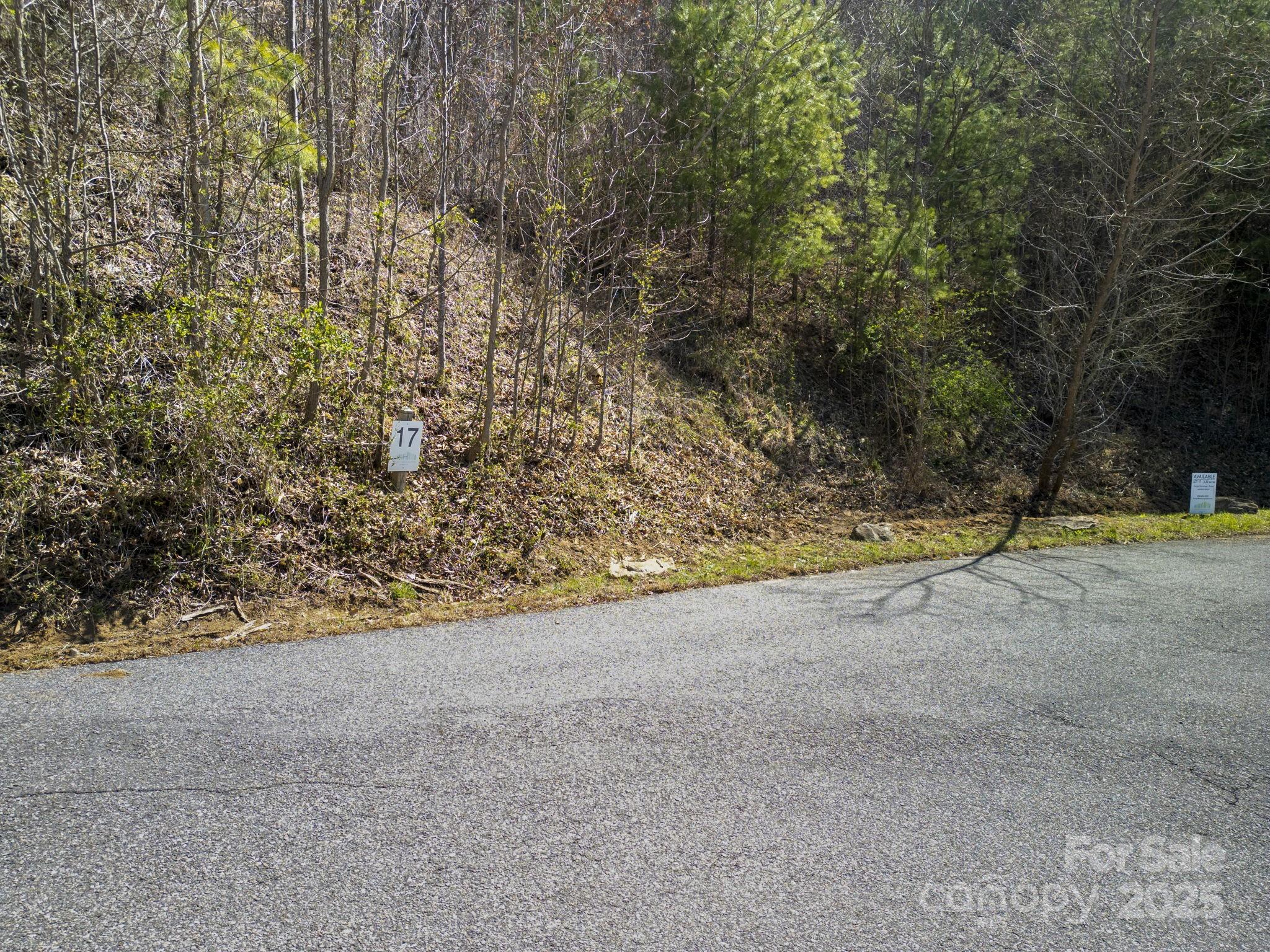 Town Mountain Preserve - Land