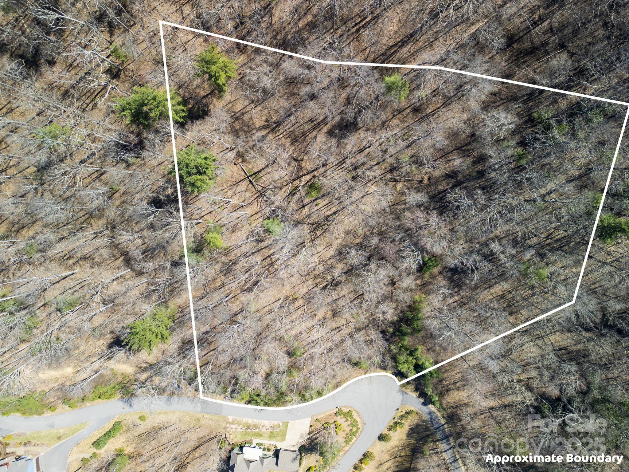 Town Mountain Preserve - Land