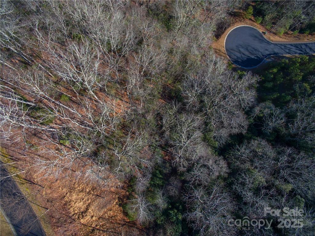 Homestead at Mills River - Land