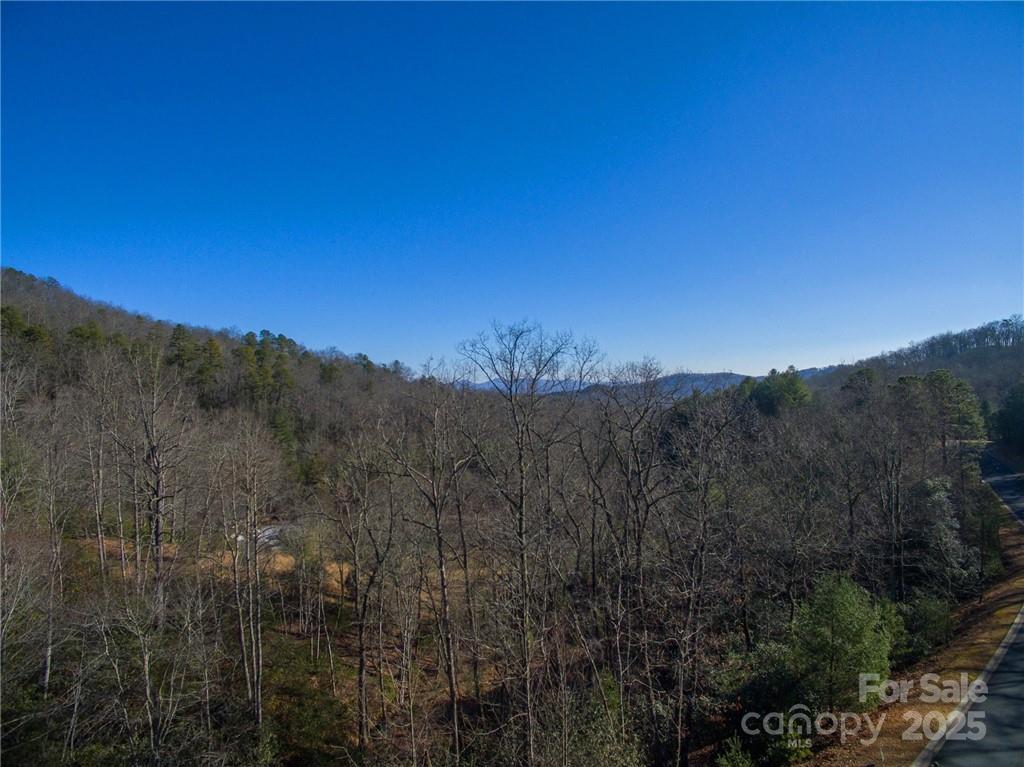 Homestead at Mills River - Land