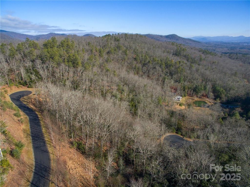 Homestead at Mills River - Land